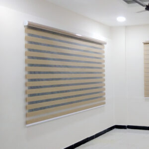 Zebra Blinds
